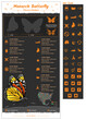 © 54 Design - Monarch butterfly Infographic template with icon