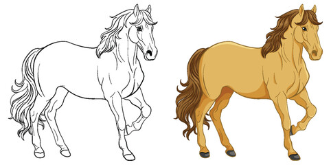 Sticker - Set of horse and its doodle outline