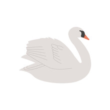 Swan On The Lake. Realistic Hand Drawn Style Illustration.