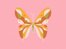 Illustration Of Butterfly On Pink Background 