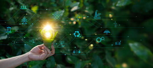 Wall Mural - hand holding light bulb against nature on green leaf, organization sustainable development environme