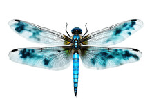 Blue Dragonfly Isolated On Transparent Background. Generative AI