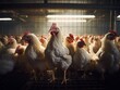Photo of chickens standing in a cage .generative ai