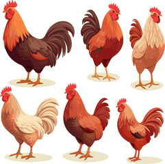 hen and rooster isolated on white background, detailed vector illustration.