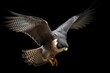 Flying peregrine falcon, AI generated