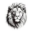 Hand drawn lion head outline illustration vector
