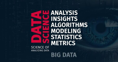 Wall Mural - data science word cloud animation