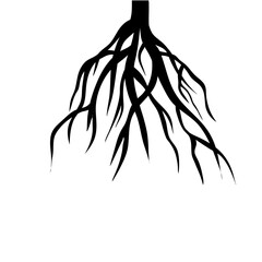 Canvas Print - Black Roots Silhouette