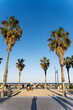 Strandpromenade mit Palmen am Strand Malvarrosa in Valencia, Spanien