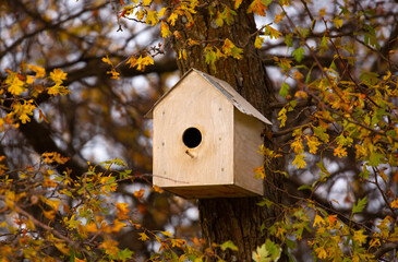 Birdhouse on a tree in autumn. Nesting and feeding place for wild birds.