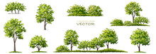 Vector Watercolor Green Tree Or Forest Side View Isolated On White Background For Landscape And Architecture Drawing,elements For Environment Or Garden,botanical Element For Exterior Section In Spring