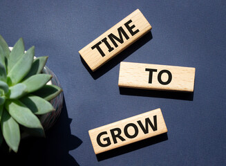 Time to Grow symbol. Concept word Time to Grow on wooden blocks. Beautiful deep blue background. Business and Time to Grow concept. Copy space