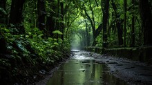 Monsoon Rain Forest With Wooden And Leaves