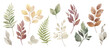 Watercolor vector set of fall branches isolated on a white background.