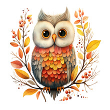 Autumn Owl PNG Free Stock Photo - Public Domain Pictures