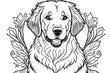 Golden Retriever coloring book page on transparent background. Generative AI