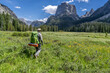© Ron - Matured Caucasian man, hiker, walking through a field of wildflowers and green grass in a scene of rugged mountains, Wind River Range, Wyoming