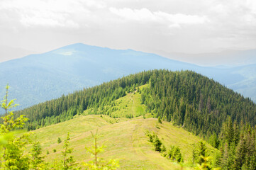 Wall Mural - landscape in the mountains, the path to the top, the forest on the top, tourism, travel, the beauty of nature, conquest