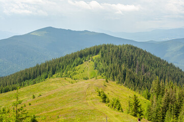 Wall Mural - landscape in the mountains, the path to the top, the forest on the top, tourism, travel, the beauty of nature, conquest