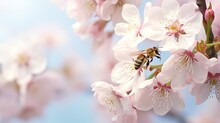 A Beetle Perched On A Cherry Blossom, Generated By AI