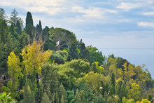Typical Southern Italian Vegetation, Olive, Oleander, Capsicum, Fig, Aloe, Gum Tree, Dragon Tree, And So Many Others, Taormina, Sicily