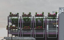 City Car Park In Stavanger, Decorated With Various Potted Flowers