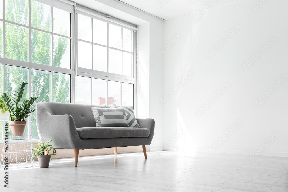 Cozy grey sofa with cushions and houseplants near big window