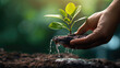 © Cedric - close up hand holding water and watering young tree to growing up