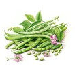 © Razvan - A pile of Green Beans and their flowers and leaves. Generative AI