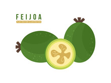 Feijoa Whole And Half Fruit Isolated On White Background. Flat Illustration Of Feijoa Sellowiana Or Acca Sellowiana. The Feijoa Pulp Is Used In Some Natural Cosmetic Products As An Exfoliant. Vector