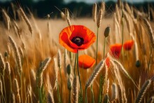 Poppy In The Wheat Field,  Generative Ai Technology