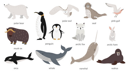 Wall Mural - Vector set of polar animals with names. Marine mammals and birds. Whale, narwhal, walrus, polar owl, polar bear, penguins. Vector illustration in flat style. Banner, poster. Isolated objects. 