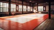 Training mats and martial arts in dojo