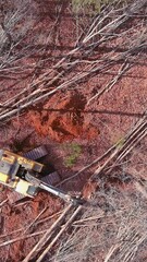 Wall Mural - There is process where trees are uprooted using tractor in order to prepare land for construction