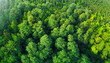 Aerial view of a green forest. Epic view. Clean environmentally friendly sustainable development concept. Green jungle. Ai generative.