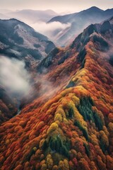 Wall Mural - aerial view of a foggy mountain landscape in autumn, created with generative ai