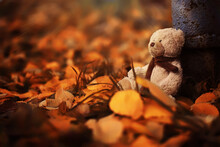 Rear View Teddy Bear Doll Sitting On Autum Leaves At Footpath. Black View Lost Bear Toy Looking Out On The Bicycle Path, Lonely Ted Sitting Alone At Woodland, International Missing Children's Day