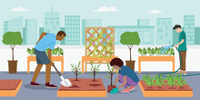 Sustainability Concept, People Planting Young Tree In Community Garden On Rooftop, Vector