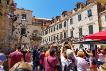 A Crowd Of Tourists Takes Pictures Of A Flock Of Pigeons On The Street Of The Old Town Of Dubrovnik In Croatia, Medieval European Architecture
