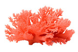 Fototapeta Do akwarium - Isolated Orange Soft Coral on a Transparent Background. Generative AI