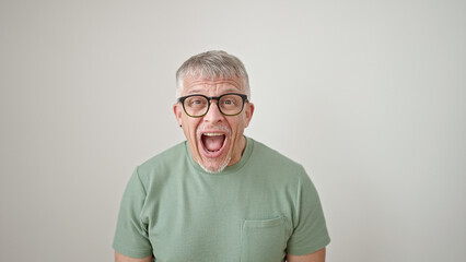 Wall Mural - Middle age grey-haired man standing with surprise expression over isolated white background