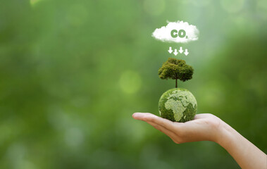 Hand holding green earth with map and have CO2 white cloud on top. Reduce CO2 emissions to limit climate change and global warming. Clean and friendly environment. World sustainable environment.