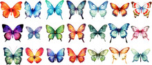 Watercolor Set Of Bright Vector Hand Painted Butterflies White Background