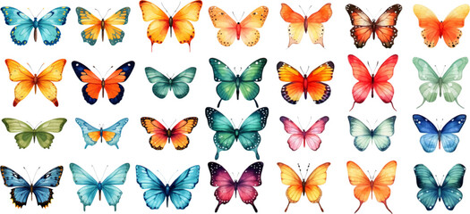 Wall Mural - Watercolor set of bright vector hand painted butterflies white background