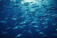 Underwater World, Flock Of Fish In Blue Water. Illustration.