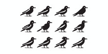 Bird Vector Icon Set Illustration