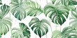 Seamless floral pattern of leaves Monstera plant, watercolor isolated foliage print for background, tropical textile, wallpapers or exotic decorative pattern