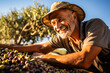 Joyous farmer is harvesting olives at olive grove  