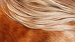 Close up of horse fur background. Generative ai design.