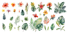 Tropical Flowers, Jungle Leaves, Monstera Leaf, Hibiscus, Bird Of Paradise Flower, Plumeria, Orchid, Strelitzia.